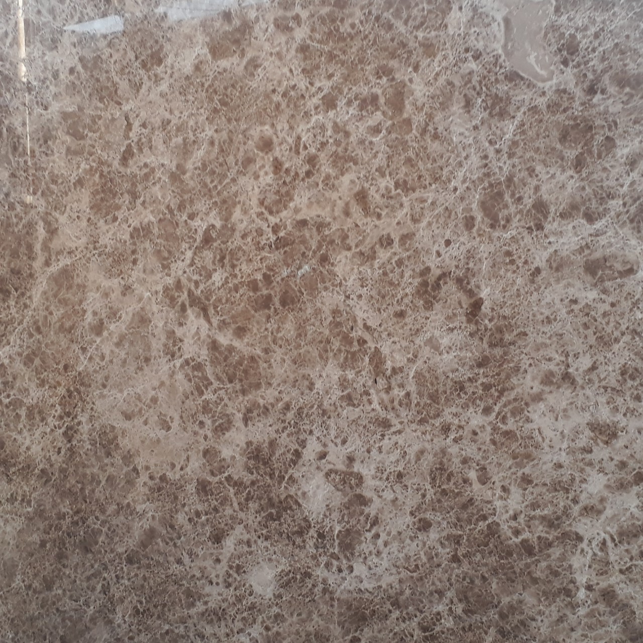 Đá Marble (Cẩm Thạch) Lighempador