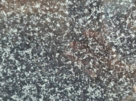 Tiger Black