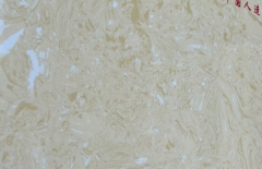 NT 002