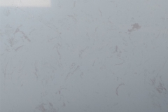 NT 005